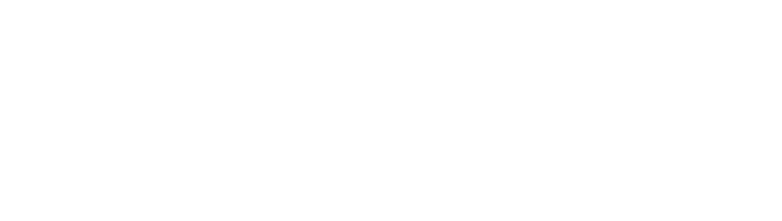 Shopify Plus